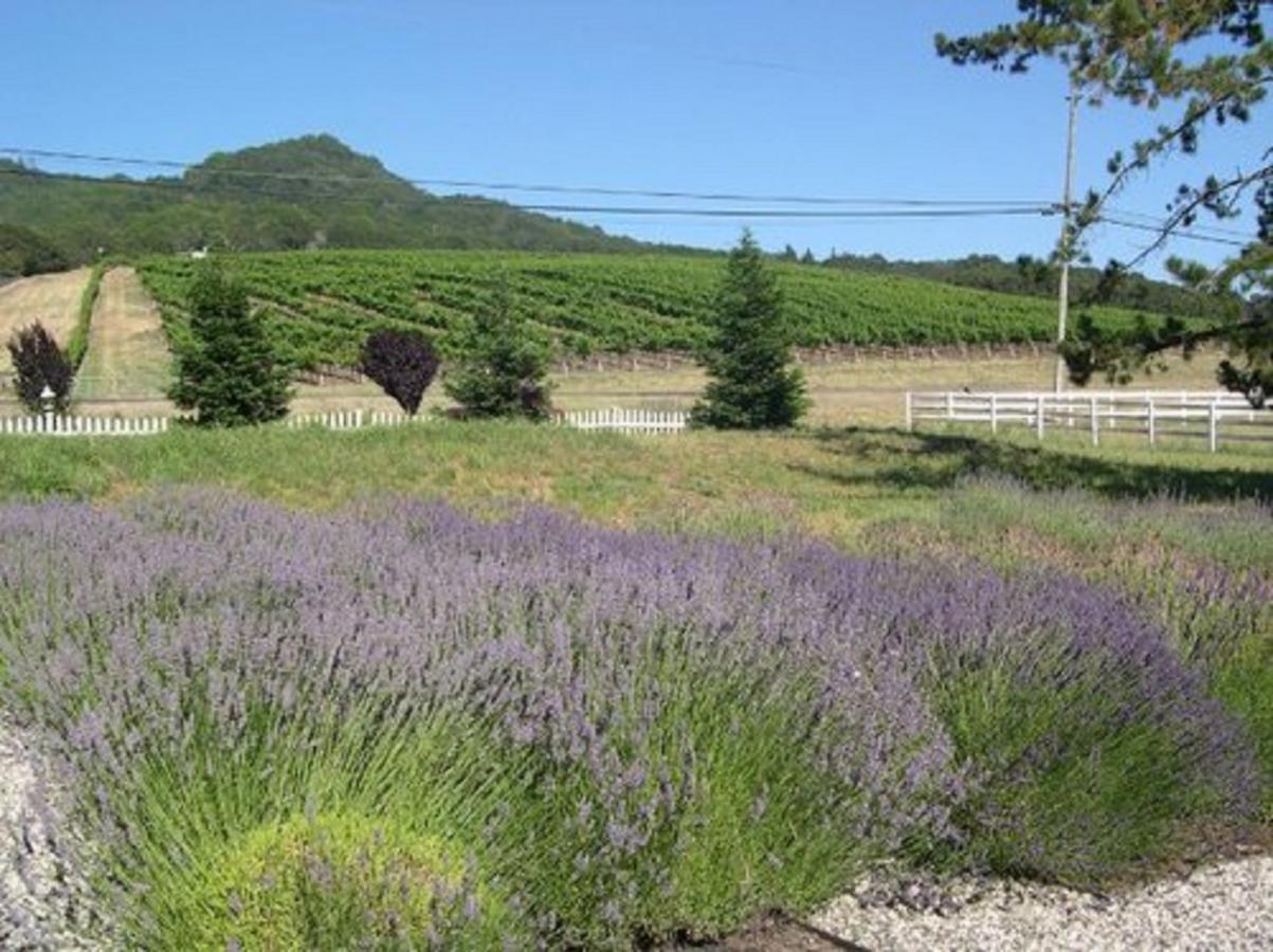 The Gables Wine Country Inn Santa Rosa Buitenkant foto